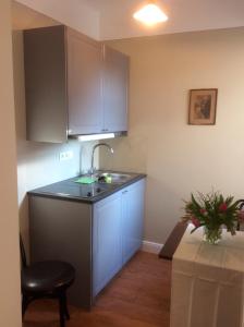 a kitchen with blue cabinets and a sink and a table at Komfort Appartment Hugo in Eckernförde