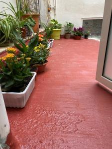 a bunch of plants in pots on a red floor at Private room in Valletta