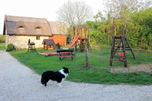 Ein schwarz-weißer Hund steht neben einem Spielplatz in der Unterkunft Dióliget - Zöld Dió Házikó in Lovasberény