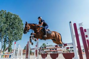 a woman riding a horse jumping over an obstacle at Hoeve De Blauwe Zaal in Bruges