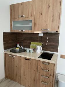 un bancone da cucina con lavello e microonde di Kraljevi Konaci -Apartmani Bajka a Kopaonik