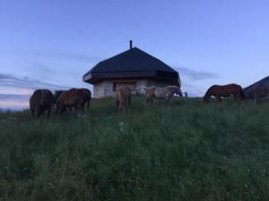 Fotografie z fotogalerie ubytování Cal Pedrals II v destinaci Urus