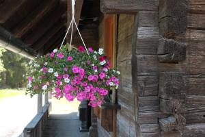 Giardino di Almhütte Hebalm