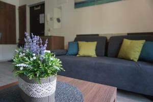 a living room with a blue couch and a vase with flowers at Schneekristall in Aich