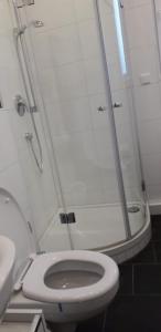 a bathroom with a toilet and a shower at Am Meilenstein in Limburg an der Lahn