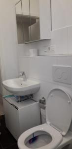 a bathroom with a white toilet and a sink at Am Meilenstein in Limburg an der Lahn