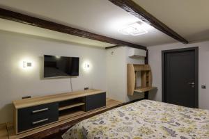 Μια τηλεόραση ή/και κέντρο ψυχαγωγίας στο Apart Hotel Fusion