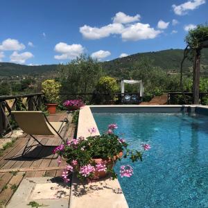 a swimming pool with flowers and a chair next to it at Il Sole Del Sodo in Cortona