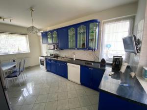 Kuchyň nebo kuchyňský kout v ubytování A- Villa (Vendégház)