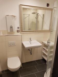 a bathroom with a sink and a toilet and a mirror at Südanker - a58933 in Fehmarn