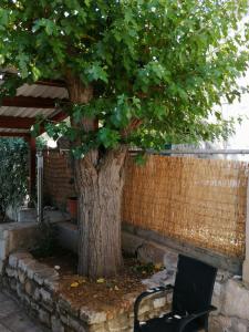 a chair sitting next to a tree next to a fence at Apartments Elena & Damir in Vis