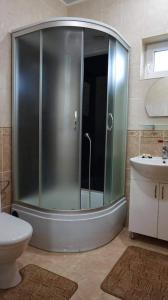 y baño con ducha, aseo y lavamanos. en Гармонія, en Skhidnytsya