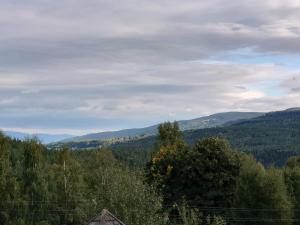 Príroda v okolí apartmánu
