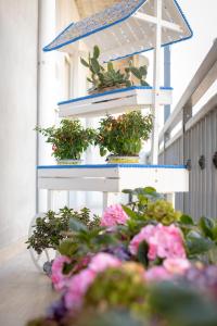 A garden outside Luna d'Arte