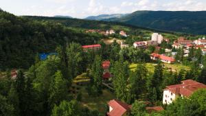 una vista aérea de una pequeña ciudad en un bosque en AIDA Hotel spa & tratament, en Geoagiu Băi