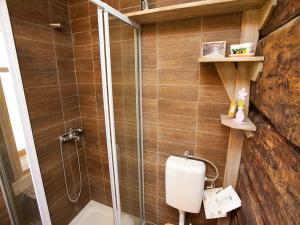 a bathroom with a shower stall and a toilet at Holiday home Margherita in Begovo Razdolje