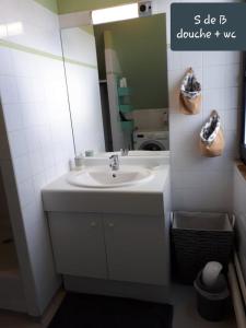 La salle de bains est pourvue d'un lavabo et d'un miroir. dans l'établissement Résidence La Naturelle, à Wimereux