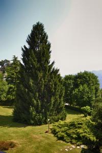 Paesaggio naturale nelle vicinanze dell'appartamento