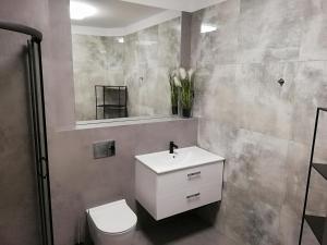W łazience znajduje się umywalka, toaleta i lustro. w obiekcie Great Polonia Wrocław City Center we Wrocławiu