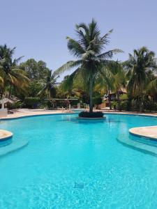 a large swimming pool with a palm tree in it at Villa Type Africaine in Saly Portudal