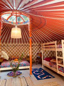 um quarto com 2 beliches numa tenda em Eco-Camping De Helleborus, Yurt, Bell & Safari tent, Pipo, Caravans, Dorms and Units em Groningen