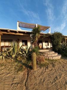 a house with palm trees in front of it at Hotel Texas in Cafayate