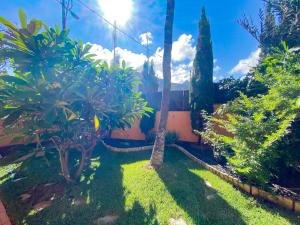 un jardín con palmeras y una casa en ENERGY GARDEN, en Bajamar