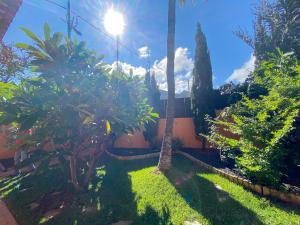 a garden with palm trees and a street light at ENERGY GARDEN in Bajamar