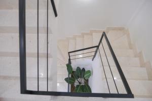 Fotografie z fotogalerie ubytování B&B Toci v destinaci Volla