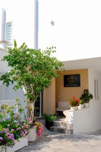 a group of potted plants in front of a building at B&B Toci in Volla