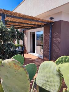 a view of the patio of a house with a cactus at IsolaAzzurra in Monopoli