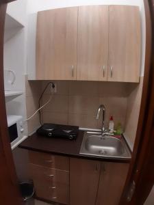a kitchen with a sink and a counter top at Romantic calm apartments piata universitate in Bucharest