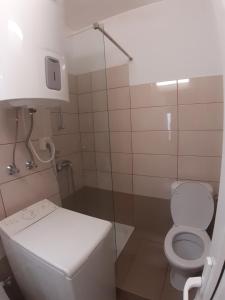a small bathroom with a toilet and a shower at Romantic calm apartments piata universitate in Bucharest