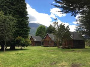a couple of buildings in a field with trees at Bosque Patagonico Cabañas y Camping in Hornopiren