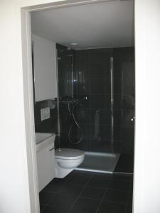 a bathroom with a toilet and a glass shower at Studio Bijou in Unterwasser