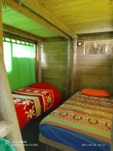 2 camas en una habitación con paredes de madera y verde en Miradores Del Oso Perezoso, en Minca