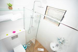 La salle de bains est pourvue d'une douche en verre et de toilettes. dans l'établissement Le Jardin Secret Guyanais avec Piscine et Jardin de 70 m2, à Cayenne