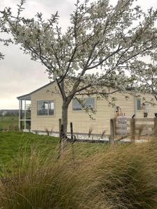 une maison avec un arbre dans un champ dans l'établissement Stonebyers in the Glen, à Invercargill