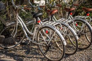 a row of bikes parked next to each other at La Posadita in José Ignacio