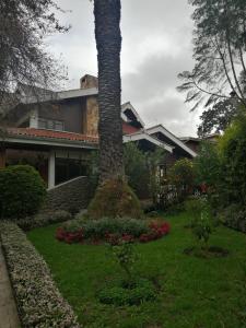 eine Palme im Hof eines Hauses in der Unterkunft Casatodosantos in Cuenca