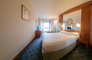 a hotel room with a large bed and a television at Hotel los Bracos in Logroño