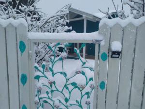 החן בירוק during the winter