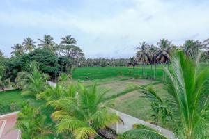 an aerial view of a golf course with palm trees at Brindavan Garden Resort & Spa in Mysore