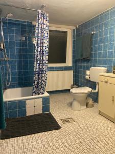 ハノーファーにあるUnterkunft Hannover LAATZENの青いタイル張りのバスルーム(トイレ、シャワー付)