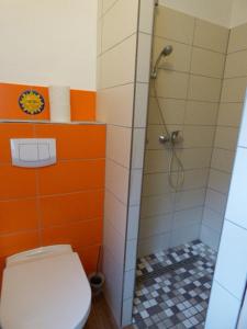 a bathroom with a shower and a toilet in it at Aloha 1 in Neue Tiefe Fehmarn