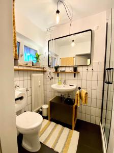 a bathroom with a toilet and a sink and a mirror at Ferienwohnung Schwarzwaldstraße in Pforzheim