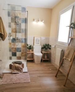 a bathroom with a shower and a toilet at La casa del Duero in Tordesillas