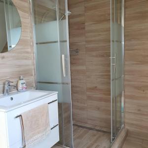 a bathroom with a shower and a sink at Pinkóczi Apartmanház in Balatonalmádi