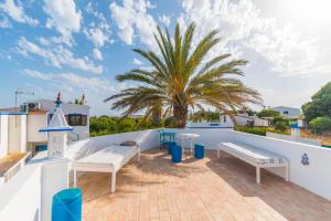 a roof deck with benches and a palm tree at Casas Típicas Algarvias in Arroteia de Baixo