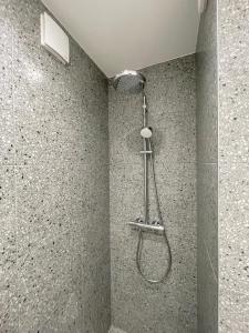 a shower with a shower head in a bathroom at White Goose in Ivano-Frankivsk +11 photos